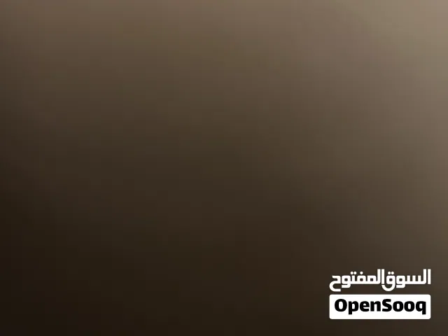 13برو ماكس تبديل حتى بي 13برو وتزيد