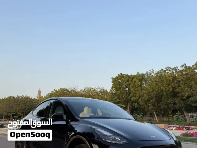 2025 Tesla Model Y Long Range