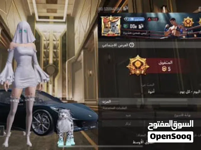 Pubg Accounts and Characters for Sale in Irbid
