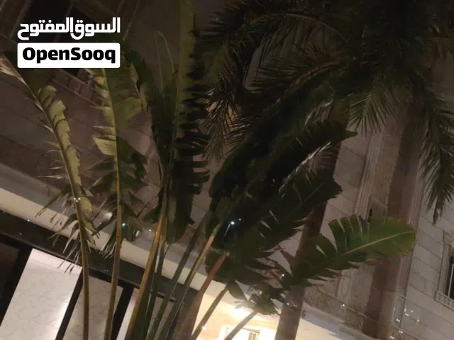 استثمار آمن بعائد مضمون