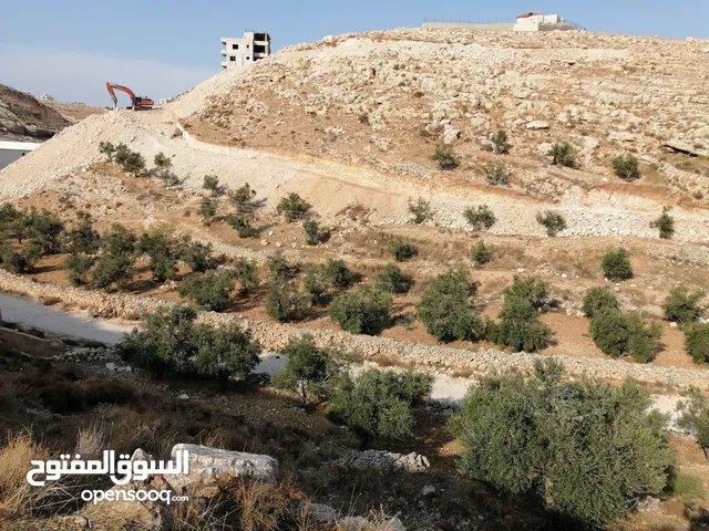 ارض للبيع في جناتا