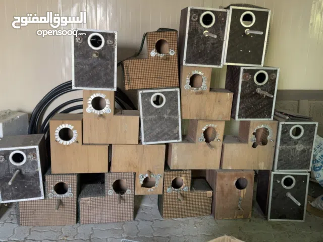 صندوق تفريخ