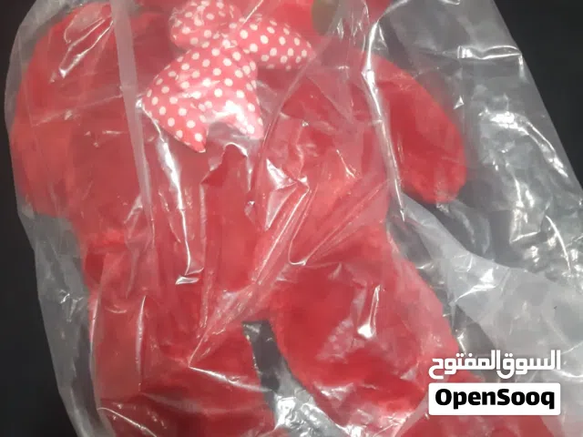 دب احمر حجم كبير