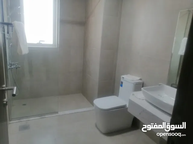 172 ft 2 Bedrooms Apartments for Sale in Ajman Al Ameera Village