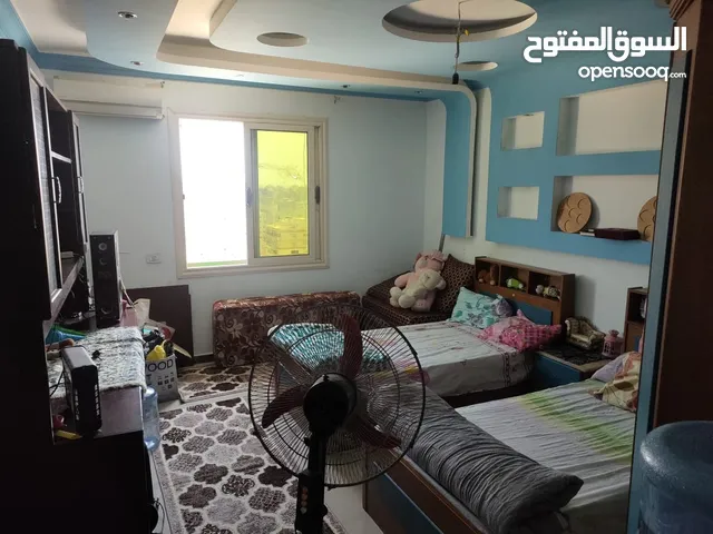 330m2 3 Bedrooms Apartments for Sale in Alexandria Camp Caesar