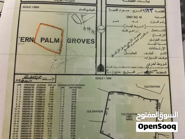 Farm Land for Sale in Buraimi Al Buraimi