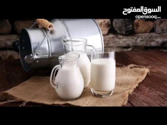 حليب ابقار طازج نصف دينار للكيلو