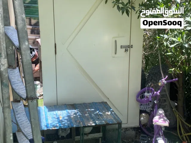 حمام امريكي