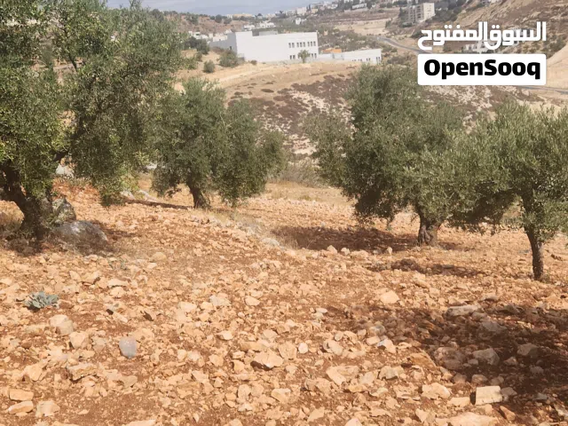 Residential Land for Sale in Amman Bilal
