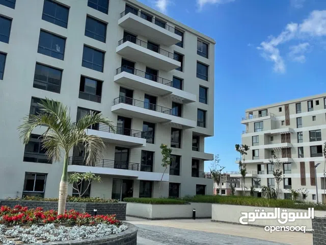 Palm hills Alexandria