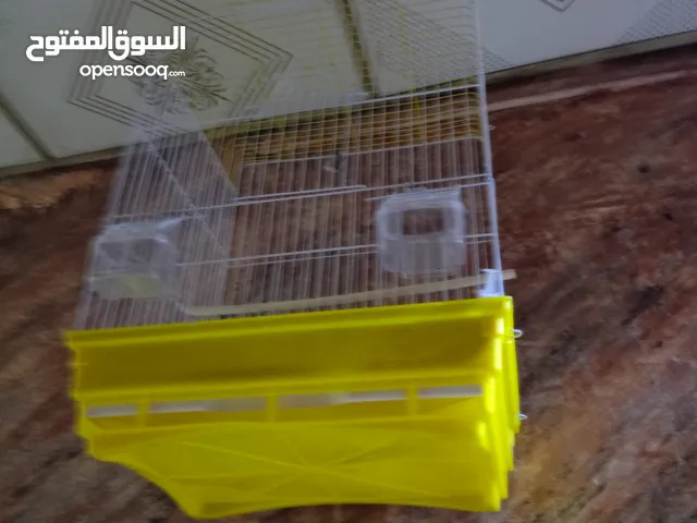 قفص طيورالكناري او البلابل