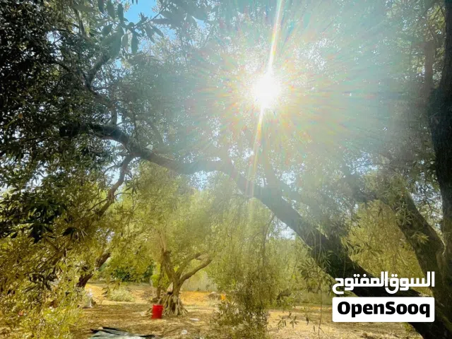قطعت ارض للبيع 750 متر