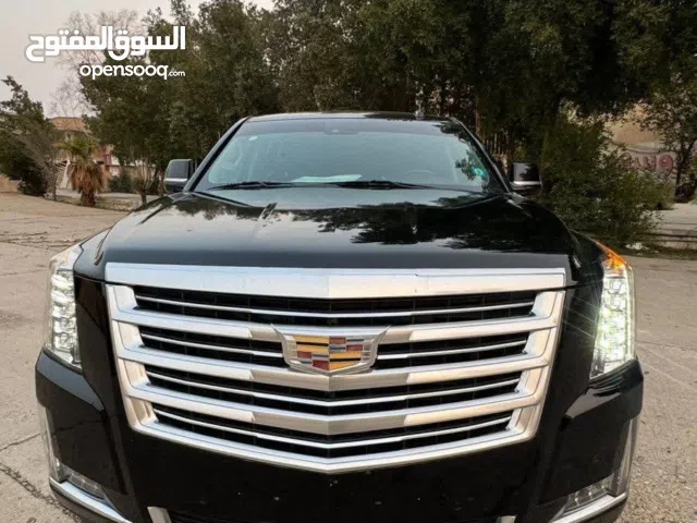 New Cadillac Escalade in Wasit
