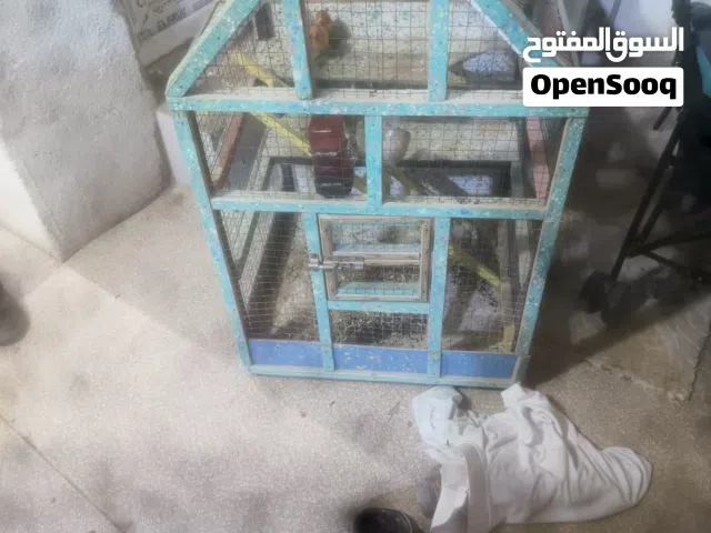 السلام وعليكم خوان قفص يرهم جميع الطيور طوله اكثر من متر وعرضه نص متر قفص جديد قبل شهر خذيته