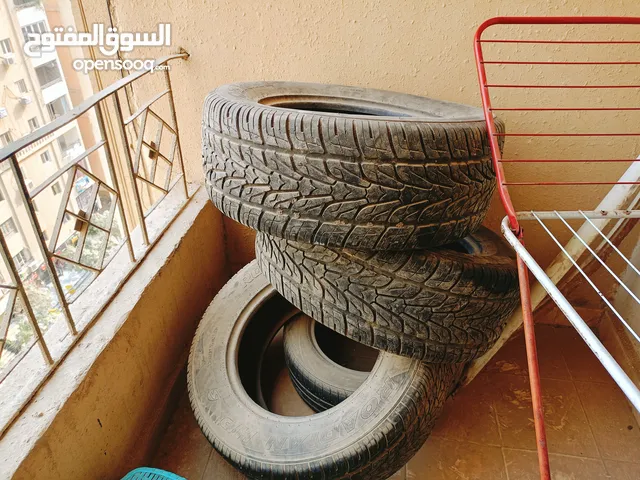 Bridgestone 18 Tyres in Cairo