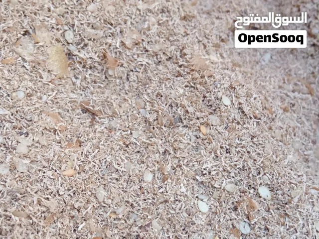 نخالة سمسم ناشفة وشقرا للمواشي