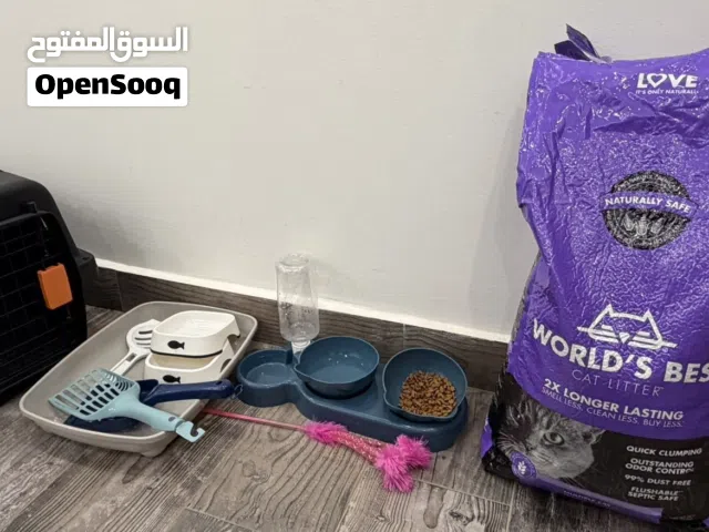 اغراض للقط