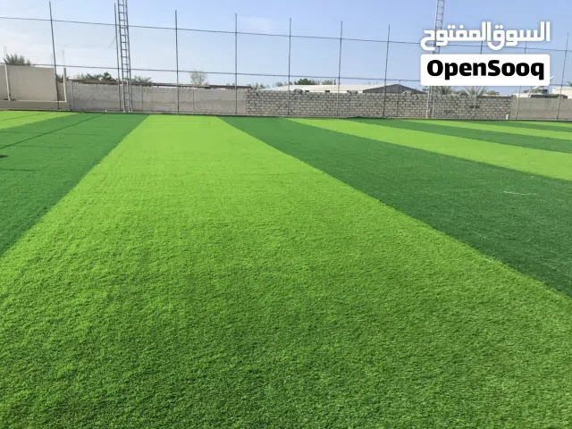 ترتان ملاعب ذو العشبة الطويلة