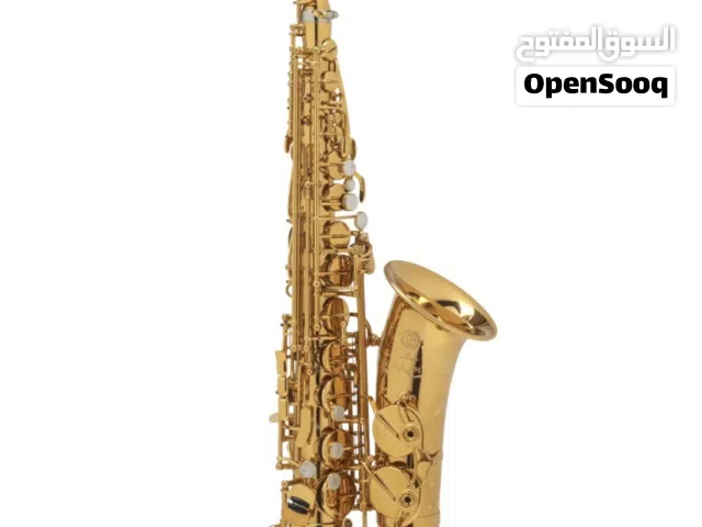 Heinrich GSW-01 Alto Saxophone With Case – Gold