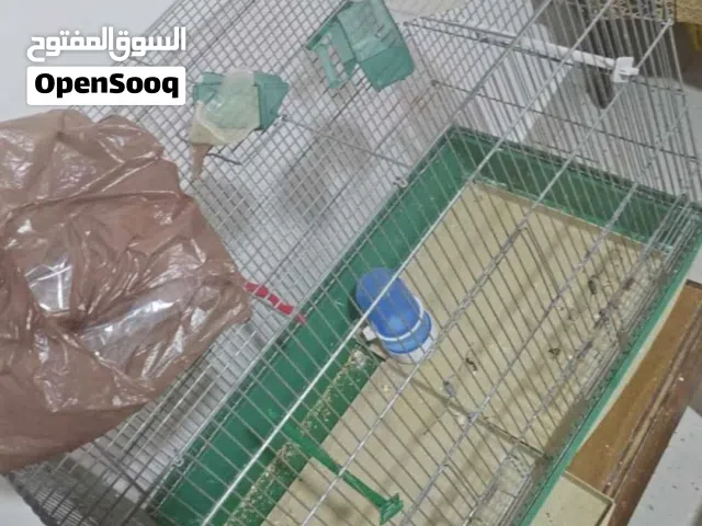 قفص طيور كبير