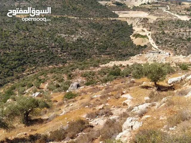 Mixed Use Land for Sale in Ramallah and Al-Bireh Rawabi