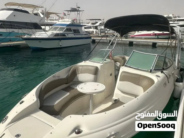قارب أمريكي سي ريه قابل للبدل على أرض