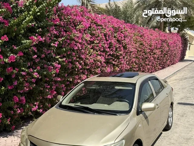Used Toyota Corolla in Northern Governorate