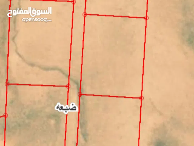 قطع أراضي للبيع – جنوب عمّان (حوض السطول) بالقرب من قصر ضبعة ( Property 46794 )-163979