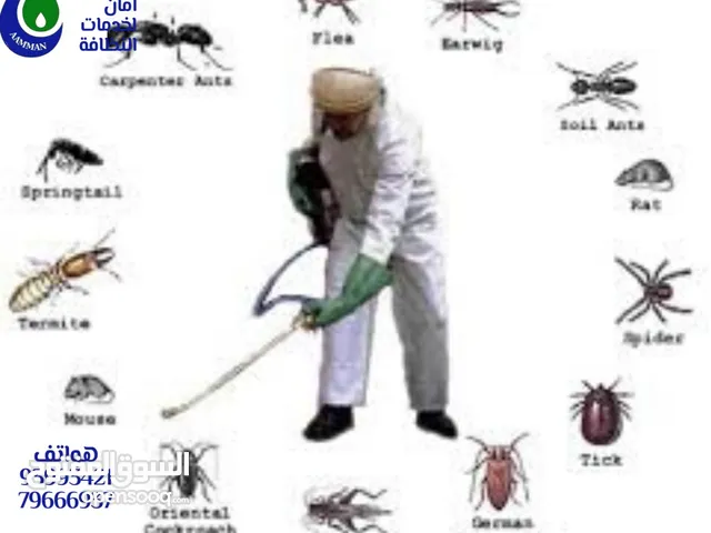 القضاء علي الحشرات