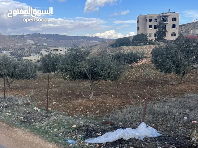 Residential Land for Sale in Zarqa Um Rummanah