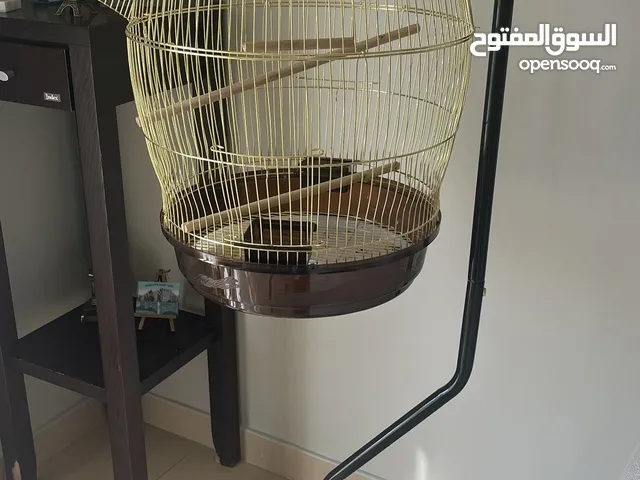 Birds cage and food for sale قفص و اكل للبيع