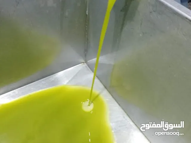 زيت زيتون للبيع