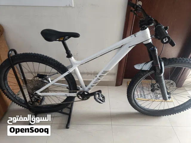 mountain bike