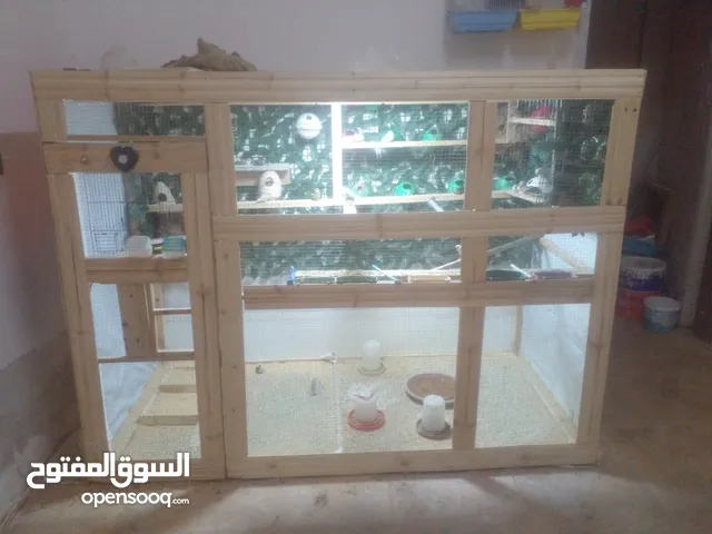 عصافير جنه 20 جوزه مكينة إنتاج مشالله جوزين حب منتج