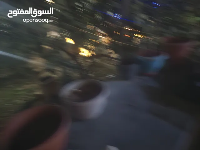 تويتا هيالوكسGR سعودي عبد الطيف جميل. ماشي 32 الف كيلو