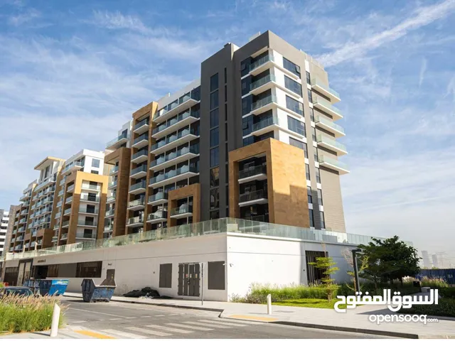 5500ft Studio Apartments for Rent in Dubai Mohammad Bin Rashid City