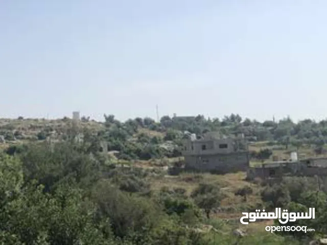 ارض للببع كوشان طابو سلطه مساحه 45دونم طابو في دير غسانه