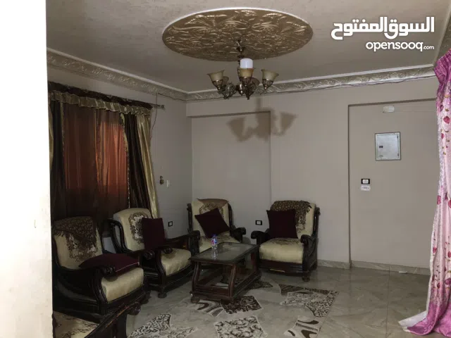 شقه للايجار العنوان / ارض اللواء العجوزه