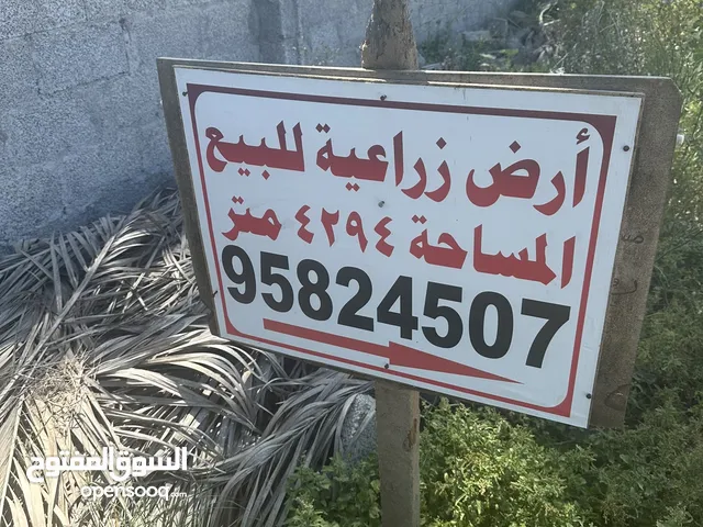 Mixed Use Land for Sale in Al Batinah Al Khaboura