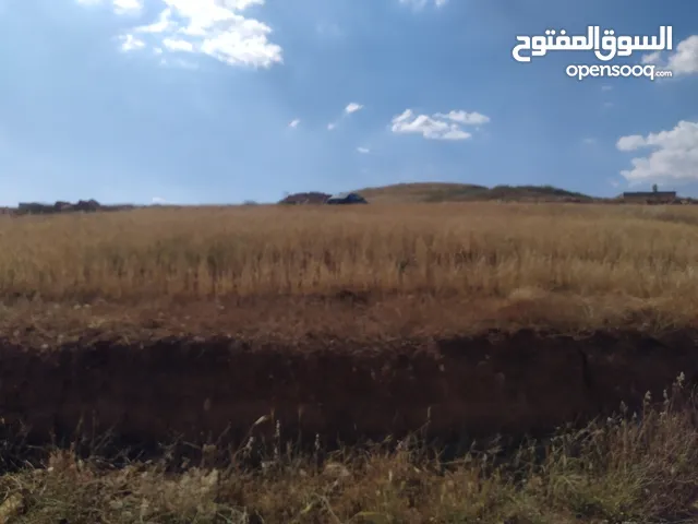 Mixed Use Land for Sale in Zarqa Birayn