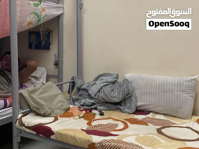 سرير طابقين جديد