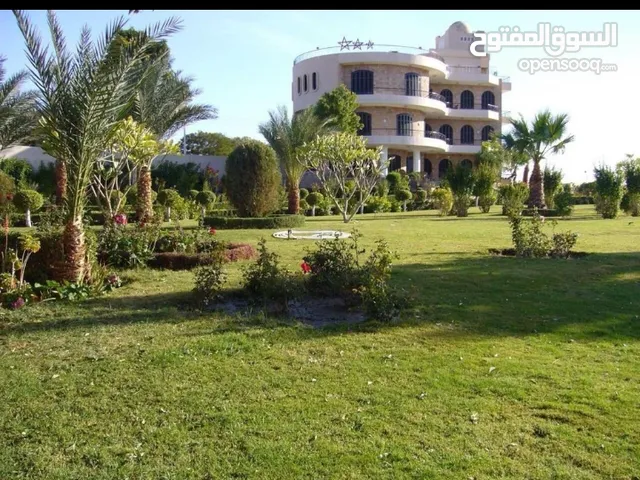 1500m2 More than 6 bedrooms Villa for Sale in Aswan Nasr al-Noba