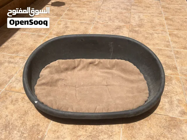 للبيع مستلزمات قطط بحالة جيدة ونظيفة