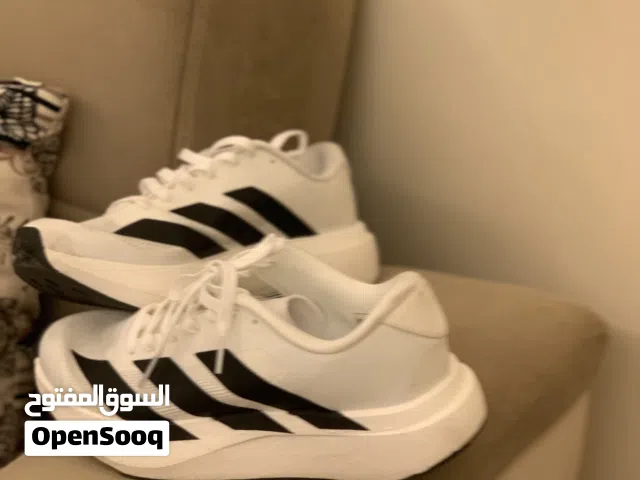 حذا جديد لم يستعمل اديداس ابيضّ مريح حق المشي و الرياضه وقابل