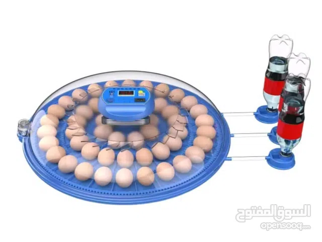 حضانة دجاج ممتازه.  أقرأ الوصف