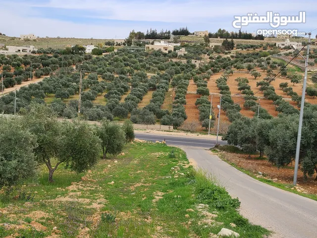 قطعة ارض مميزه جدا على شارعين للبيع. للسكن الفوري او للإستثمار المجدي