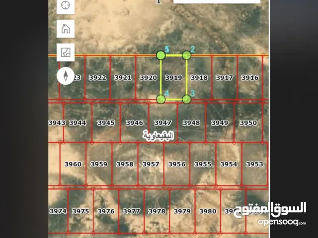 ارض للبيع بالمفرق البادية الشماليه حي البقيعاوية 10000 متر من المالك بسعر مغري