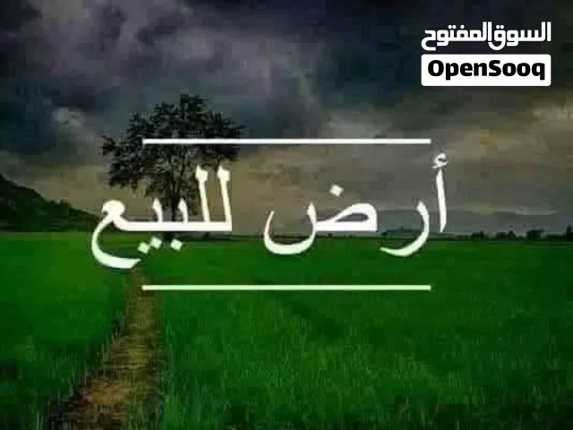 حوازا ف بن شعيب ع قطران طول ربي يبارك من مالك طول