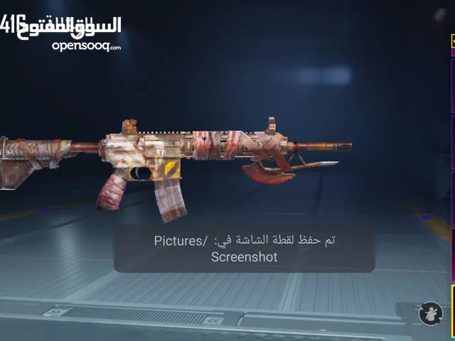 Pubg Accounts and Characters for Sale in Amman