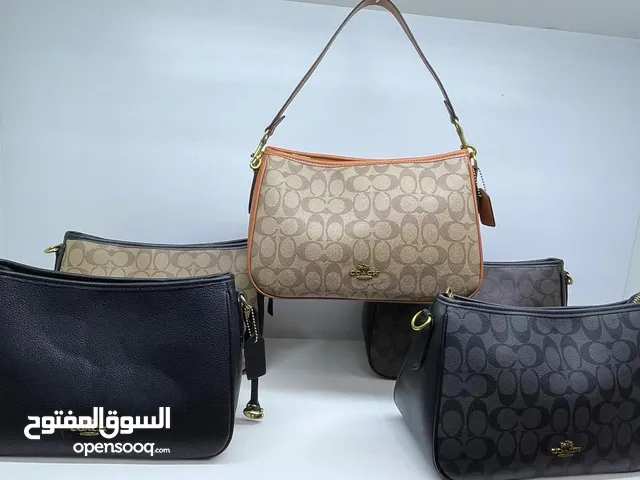 Coach (A leading American luxury leather goods company known for accessible luxury handbags, wallets